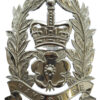 Hampshire Constabulary Constables Helmet Plate - Queen's Crown