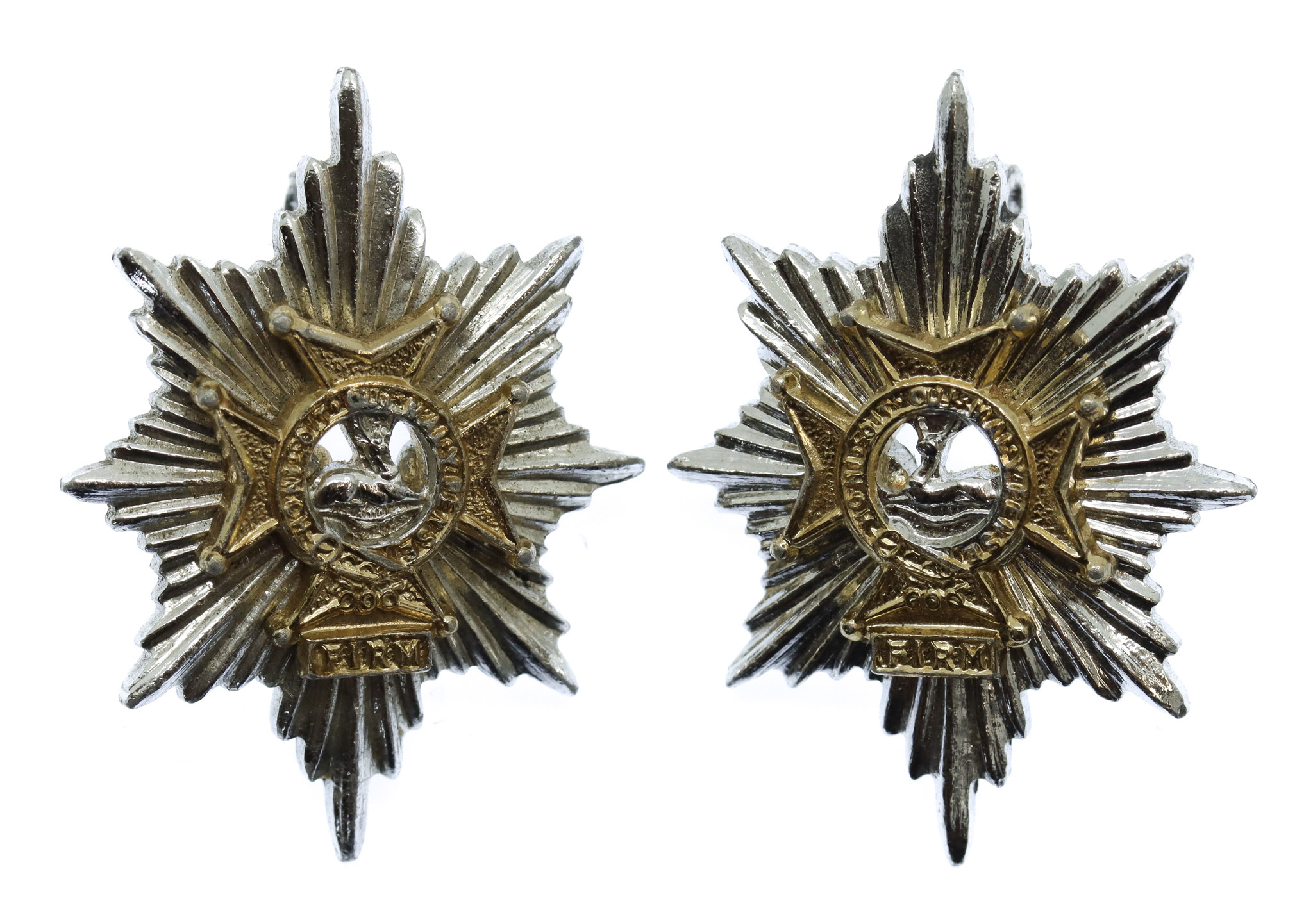 Pair of Worcestershire & Sherwood Foresters Anodised (Staybrite) Collar Badges