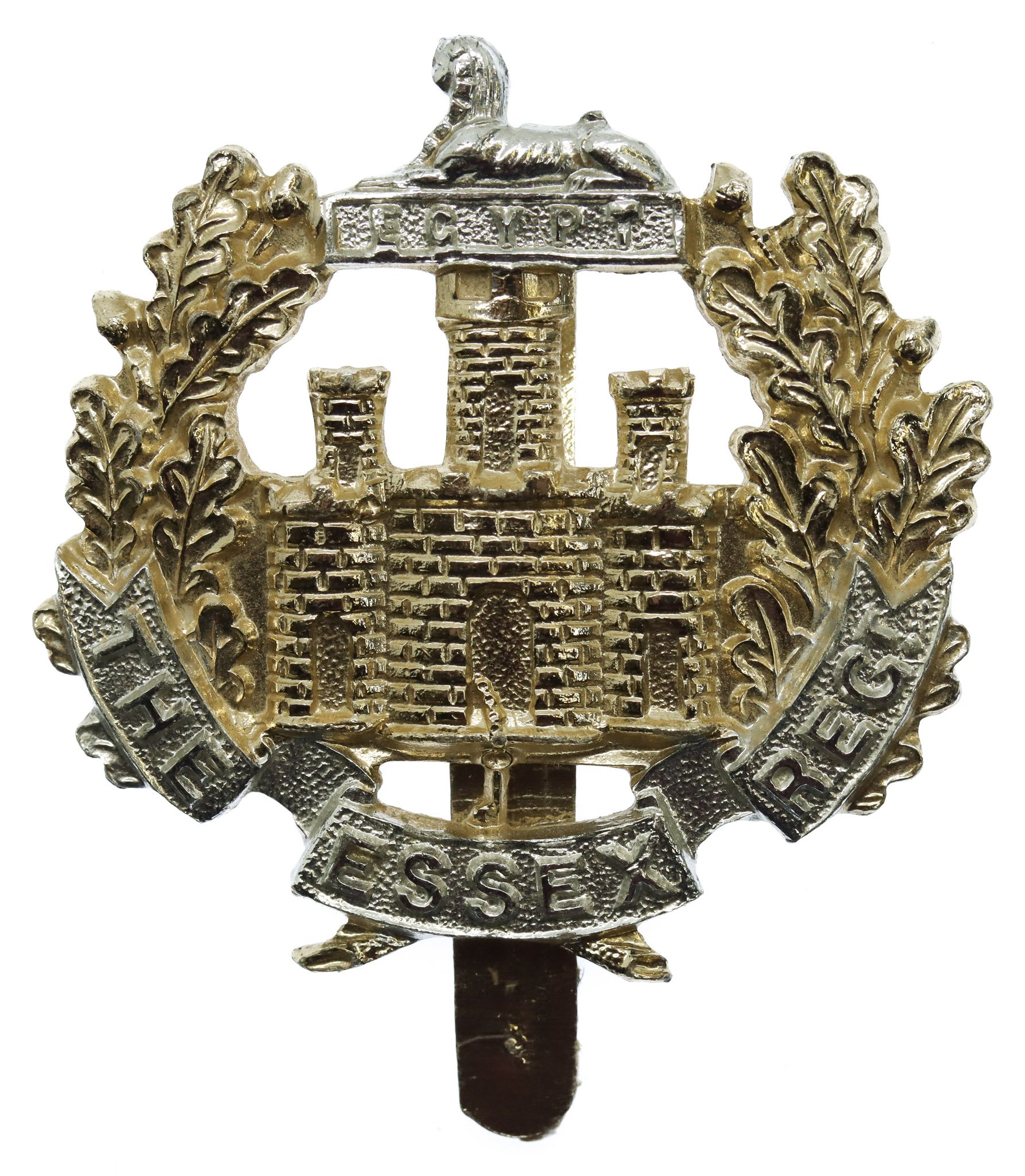 Essex Regiment Anodised (Staybrite) Cap Badge