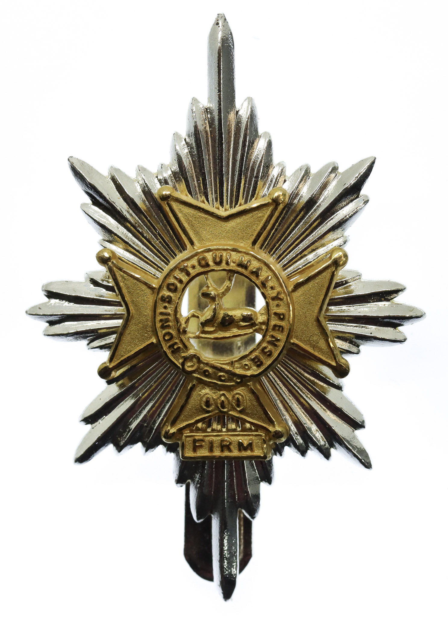 Worcestershire & Sherwood Foresters Bi-Metal Cap Badge
