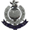 Hong Kong Police Enamelled Cap Badge