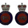 Pair of Surrey Police Enamelled Collar Badges - Queen's Crown