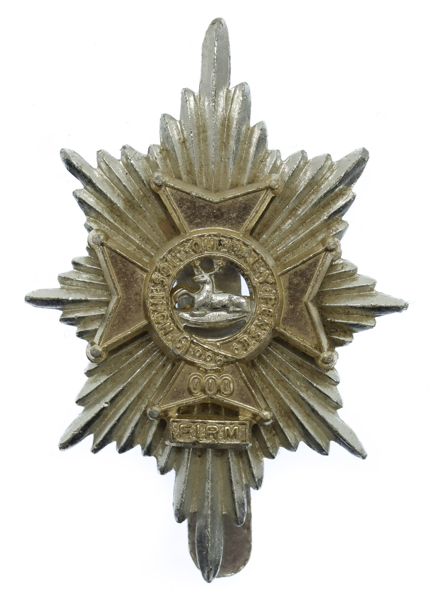 Worcestershire & Sherwood Foresters Anodised (Staybrite) Cap Badge