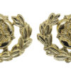 Pair of Royal Hampshire Regiment Anodised (Staybrite) Collar Badges