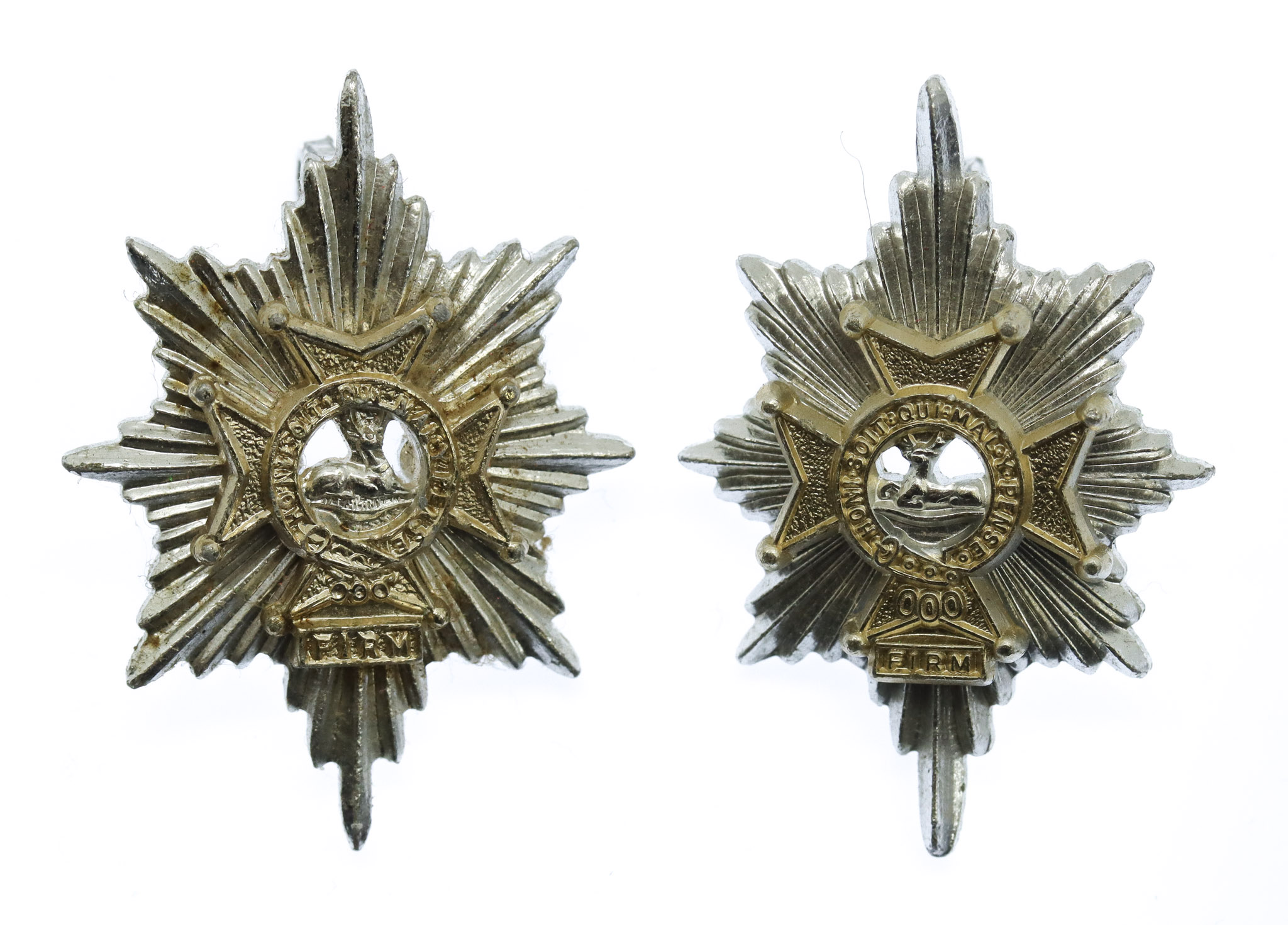  Pair of Worcestershire & Sherwood Foresters Anodised (Staybrite) Collar Badges