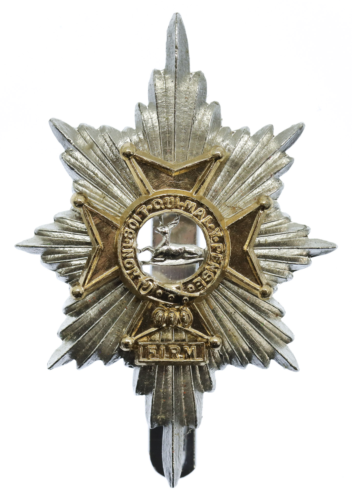 Worcestershire & Sherwood Foresters Anodised (Staybrite) Cap Badge