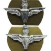 Pair of Parachute Regiment Anodised (Staybrite) Collar Badges