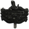 Gloucestershire Regiment Blackened Anodised (Staybrite) Cap Badge