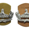 Pair of Gloucestershire Regiment Anodised (Staybrite) Collar Badges
