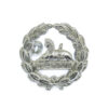 Gloucestershire Regiment Anodised (Staybrite) Back Cap Badge