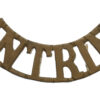 Antrim Royal Garrison Artillery Militia (ANTRIM) Shoulder Title
