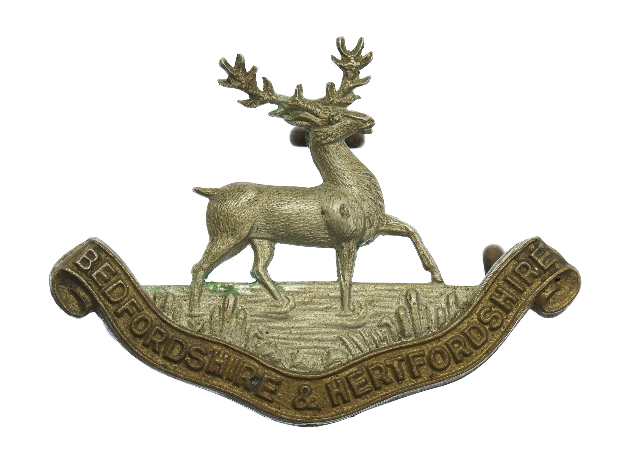 Bedfordshire & Hertfordshire Regiment Collar Badge