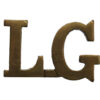 Life Guards (L.G.) Shoulder Title