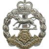 Royal Hampshire Regiment Anodised (Staybrite) Cap Badge 