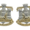 Pair of Devon & Dorset Regiment Anodised (Staybrite) Collar Badges