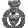 Shropshire Constabulary Cap Badge - King's Crown