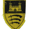 East Anglian District Printed Formation Sign (1st Pattern)