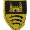 East Anglia District Printed Formation Sign (1st Pattern)