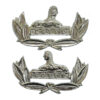 Pair of Gloucestershire Regiment Anodised (Staybrite) Collar Badges