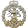 Royal Hampshire Regiment Anodised (Staybrite) Cap Badge - Queen's Crown