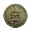 Victorian 1st Devonshire Volunteer Light Horse (1 D.V.L.H.) Button (23mm)
