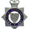 Norfolk Constabulary Senior Officer's Enamelled Cap Badge - Queen's Crown