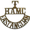 East Anglian Territorials Royal Army Medical Corps (T/R.A.M.C./EAST ANGLIAN) Shoulder Title