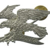 Australian Army 2nd Cavalry Regiment Cap Badge