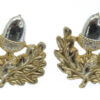 Pair of Cheshire Regiment Anodised (Staybrite) Collar Badges