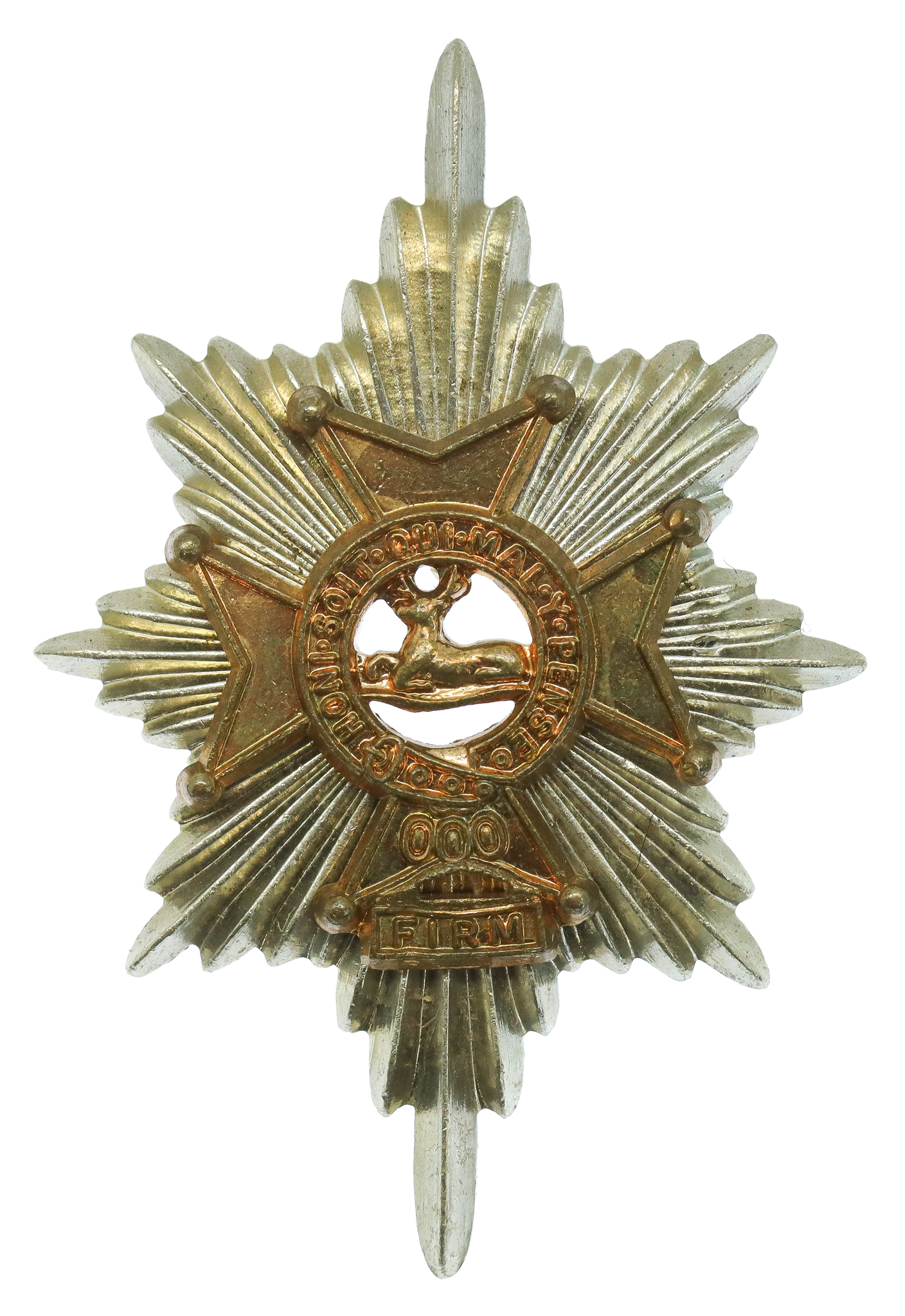 Worcestershire & Sherwood Foresters Bi-Metal Cap Badge
