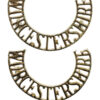 Pair of Worcestershire Regiment (WORCESTERSHIRE) Anodised (Staybrite) Shoulder Titles