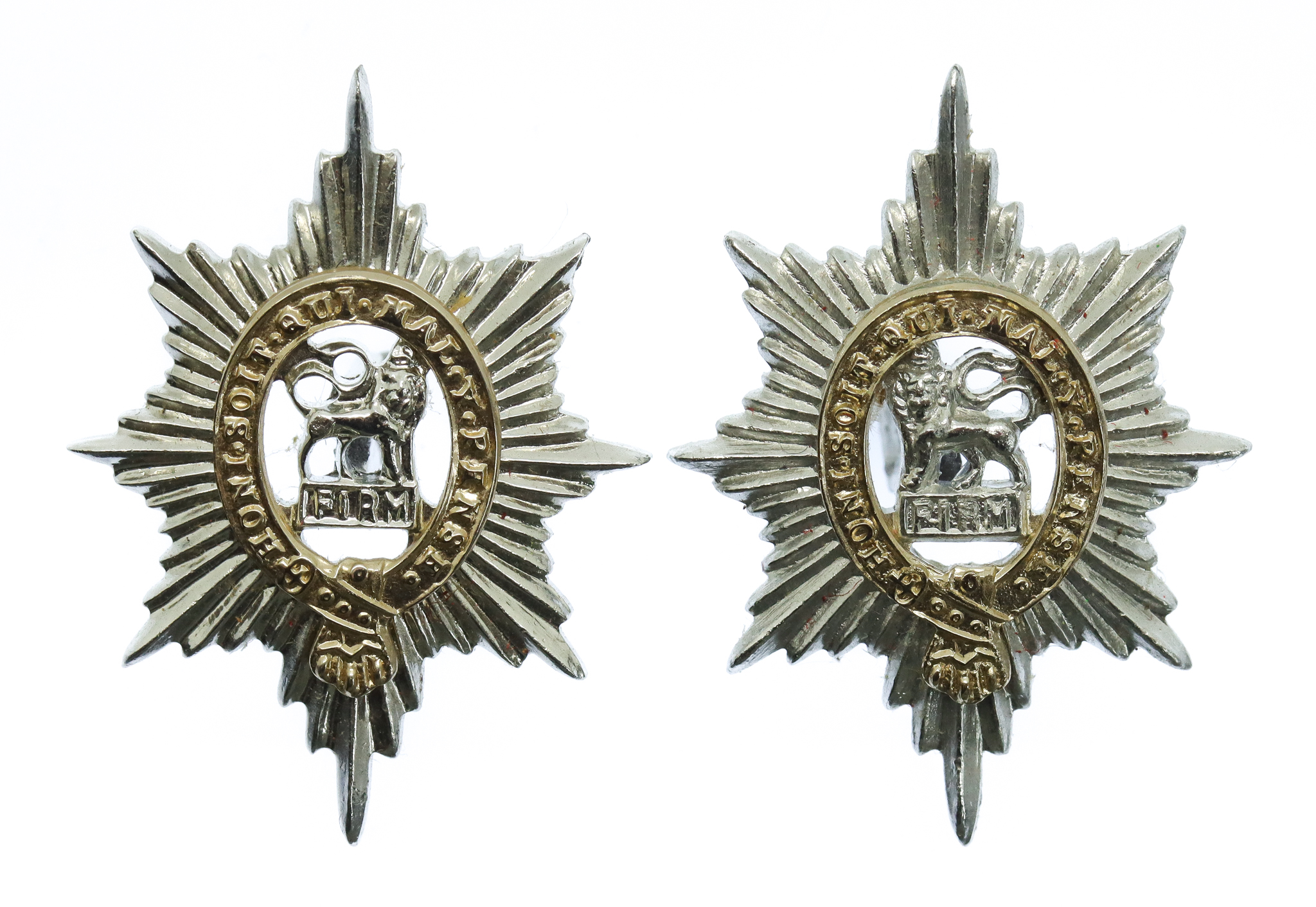 Pair of Worcestershire Regiment Anodised (Staybrite) Collar Badges