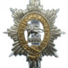 Worcestershire Regiment Anodised (Staybrite) Cap Badge