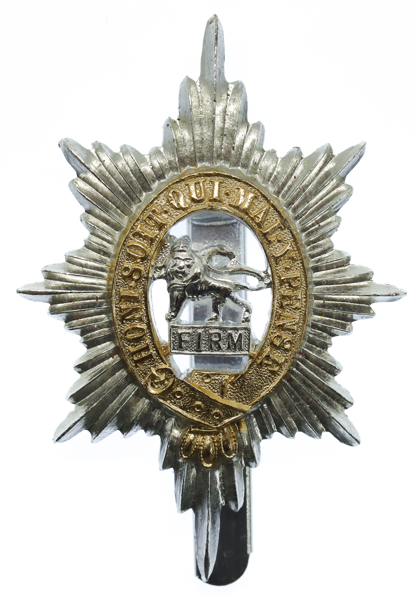 Worcestershire Regiment Anodised (Staybrite) Cap Badge