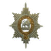 Worcestershire Regiment Bi-Metal Collar Badge