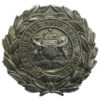Manchester Ship Canal Police Helmet Plate/ Cap Badge