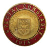 WW1 Kingston-Upon-Hull Special Constabulary 1914 Enamelled Lapel/Cap Badge