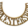 Worcestershire Regiment (WORCESTERSHIRE) Shoulder Title