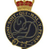 The Queen's Division Band Enamelled Cap Badge