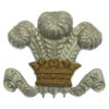 Royal Wiltshire Yeomanry Cap Badge