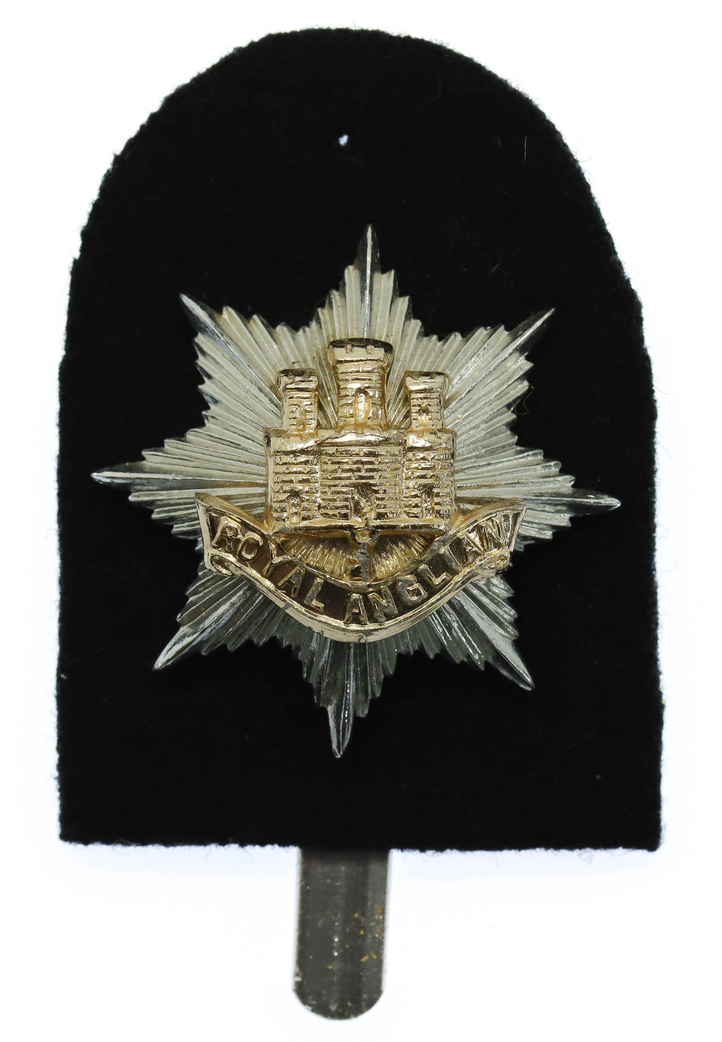 Royal Anglian Regiment Anodised (Staybrite) Cap Badge