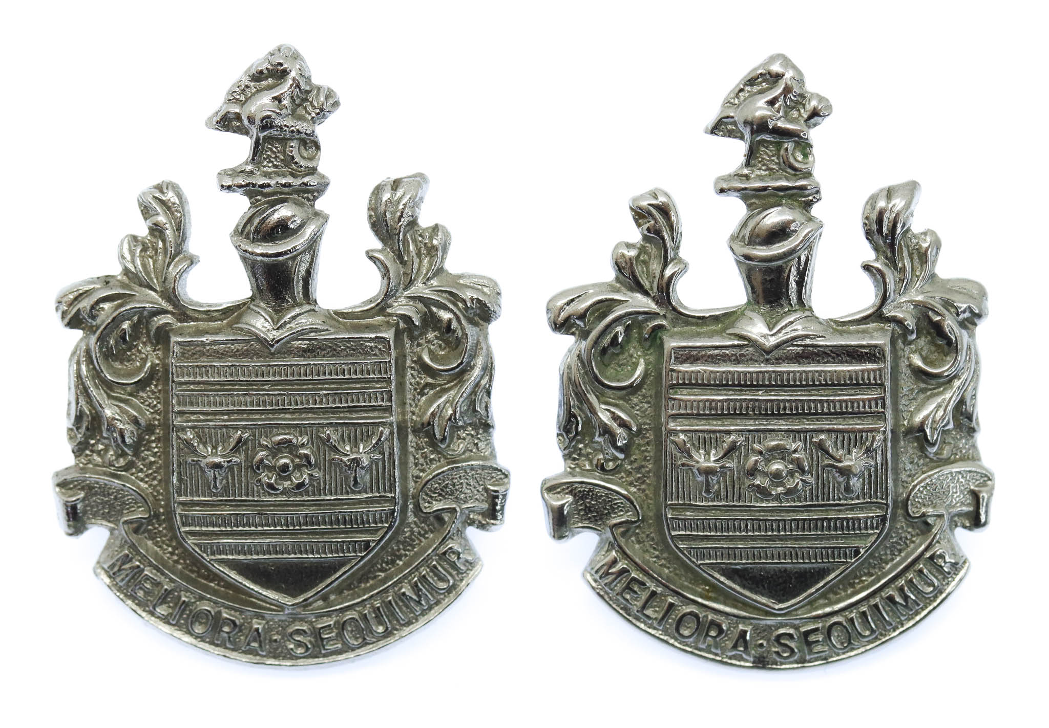 Pair of Eastbourne Borough Police Collar Badges