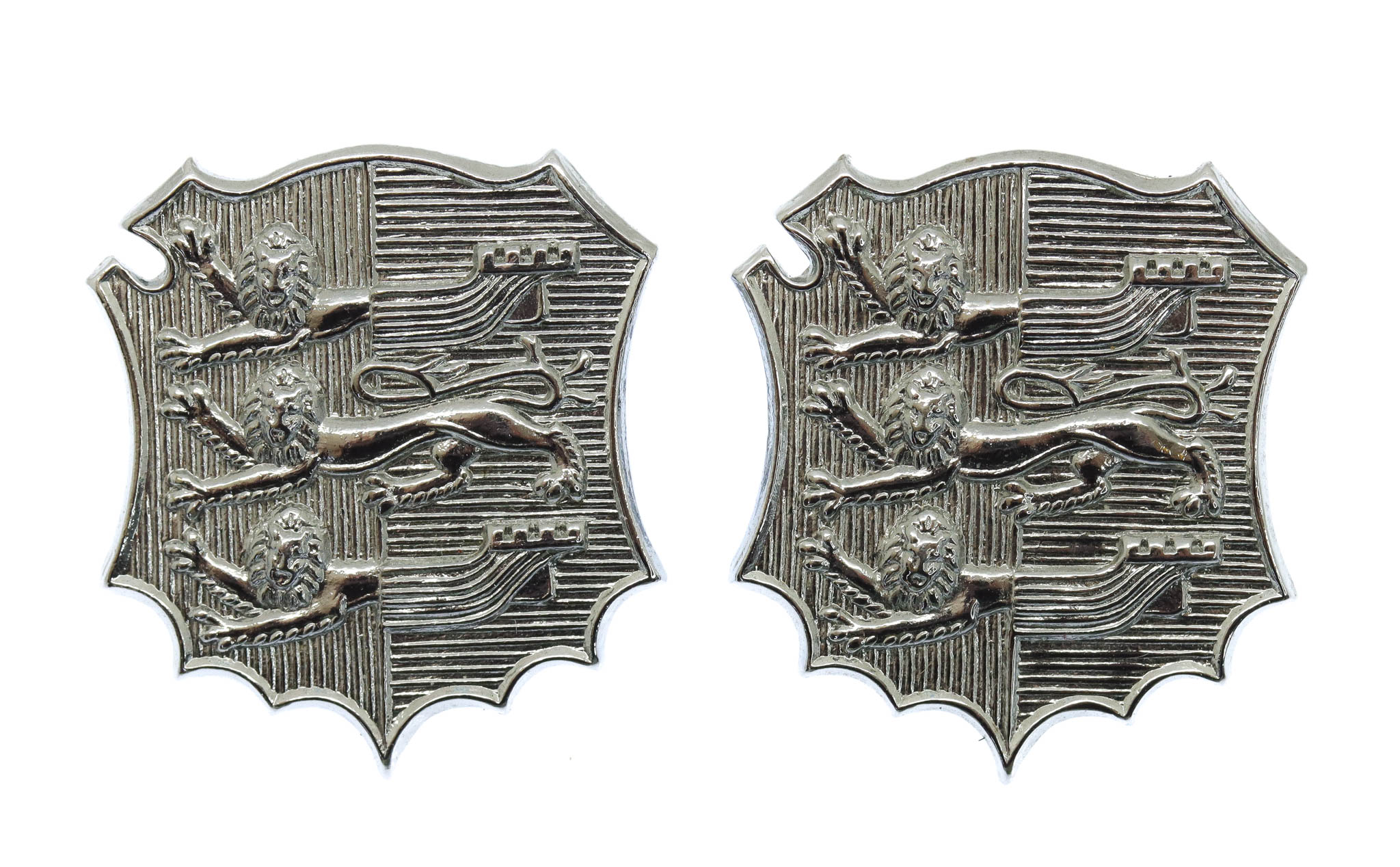Pair of Hastings Borough Police Collar Badges