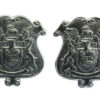 Pair of Derby Borough Police Collar Badges