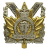 Canadian Perth Regiment Cap Badge - Queen's Crown