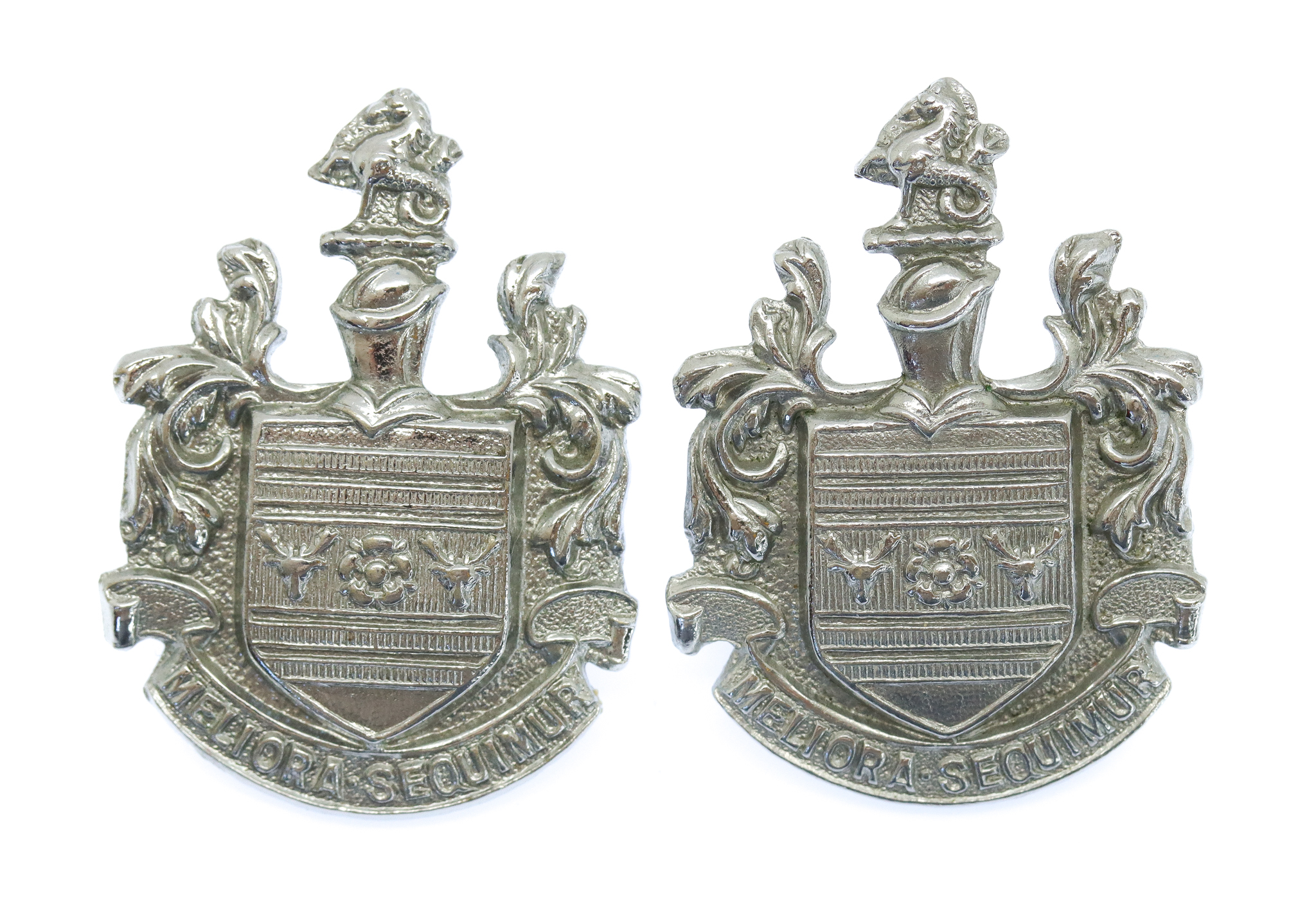 Pair of Eastbourne Borough Police Collar Badges