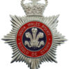South Wales Police (Heddlu De Cymru) Enamelled Helmet Plate - Queen's Crown