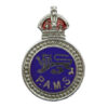 Surrey Constabulary Police Auxiliary Messenger Service (P.A.M.S.) Enamelled Lapel Badge - King's Crown
