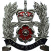 Hampshire Constabulary Sergeants Enamelled Helmet Plate - Queen's Crown
