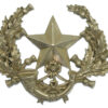 Cameronians (Scottish Rifles) Cap Badge